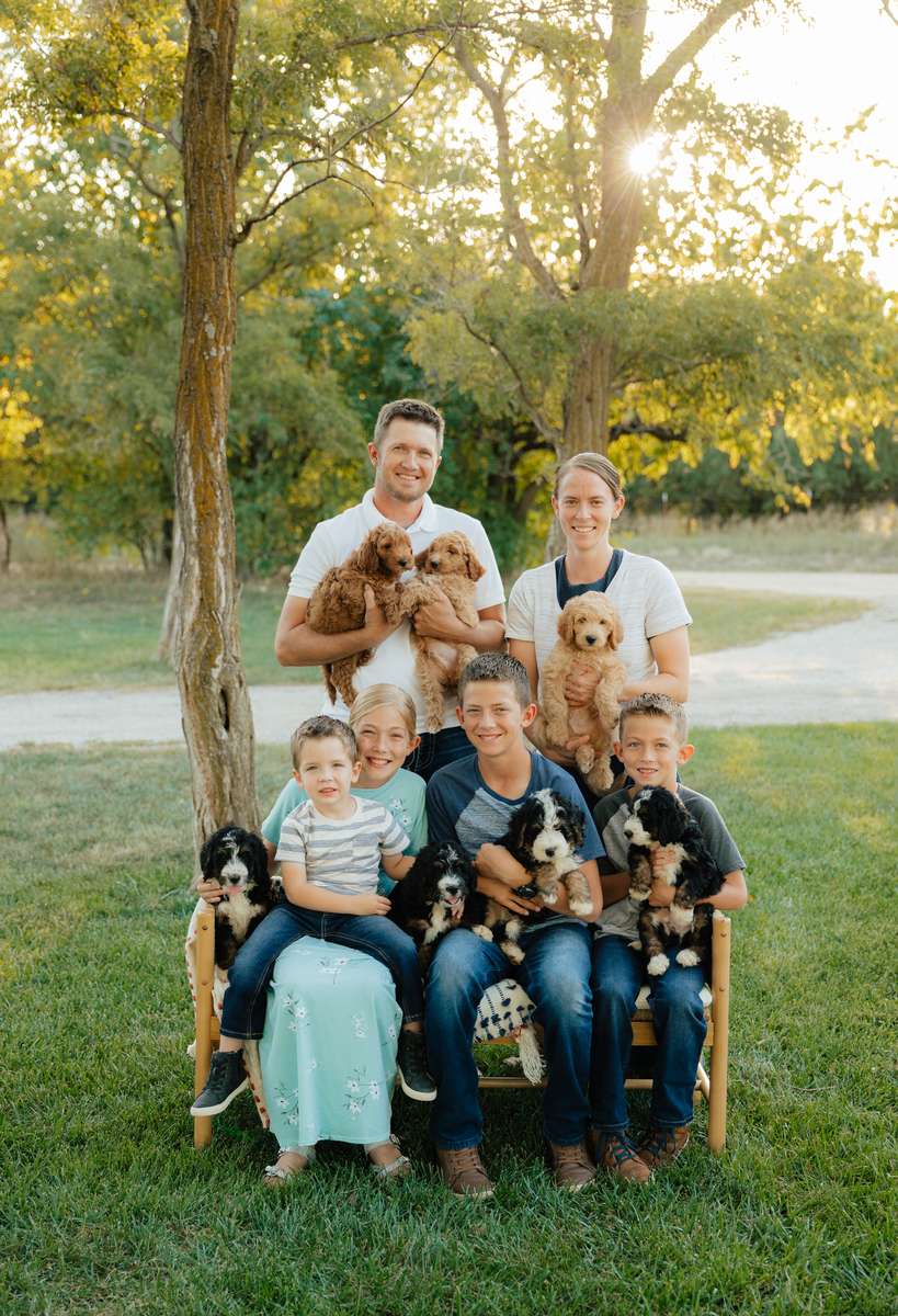 More About Us Kansas Doodle Breeder